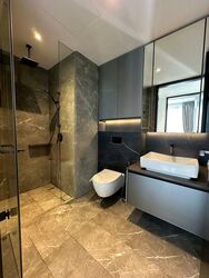 Irwell Hill Residences (D9), Apartment #455909851